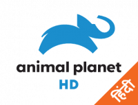 Animal Planet HD Hindi