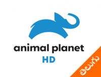 Animal Planet HD Telugu