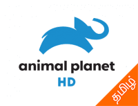 Animal Planet HD Tamil