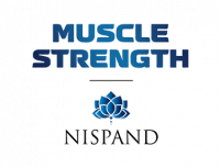 Muscle Strength