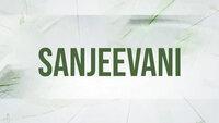 Show Image