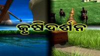 Show Image