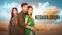 Show Image