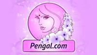 Show Image