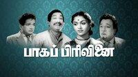 Show Image