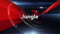 Show Image