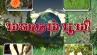 Show Image