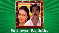 Show Image
