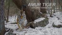 Show Image
