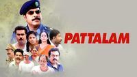 Show Image