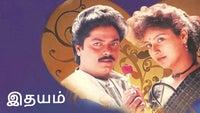 Show Image