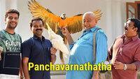 Show Image