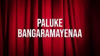 Show Image