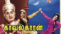 Show Image