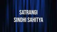 Show Image