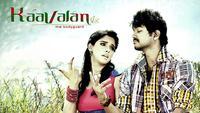 Show Image