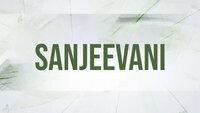 Show Image