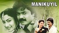 Show Image
