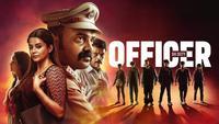 Show Image