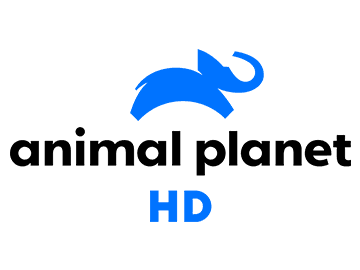 Animal Planet Hd